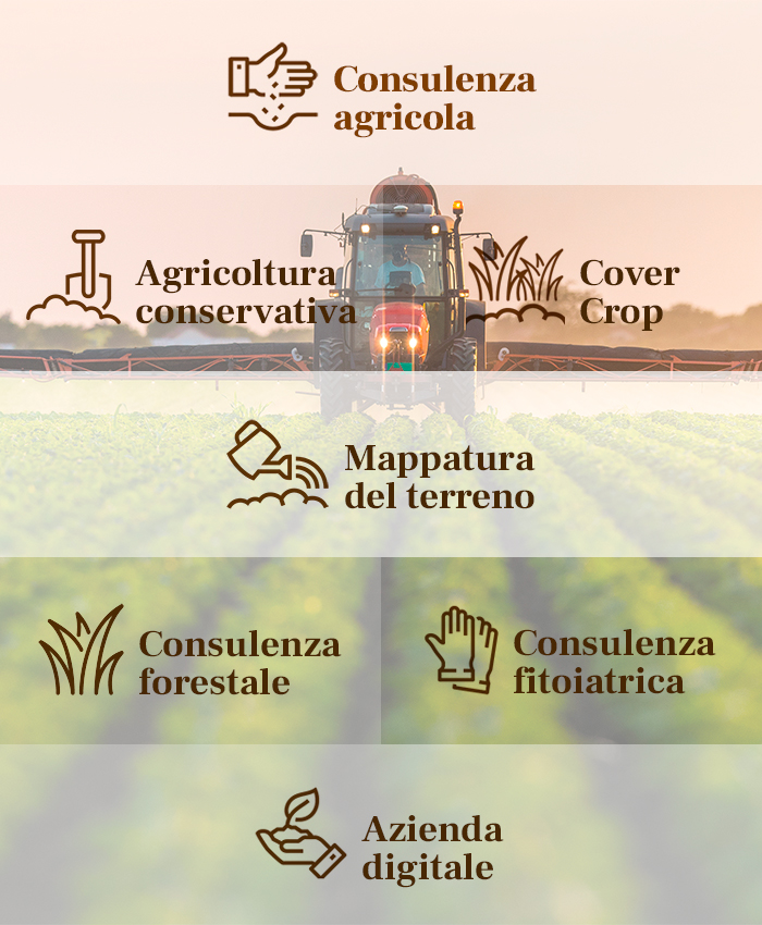 immagine consulenza agricola